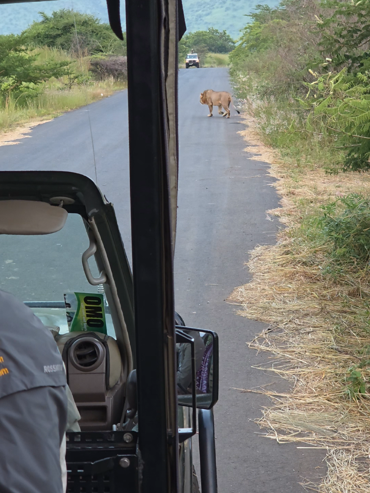 @Ethiopian wildlife