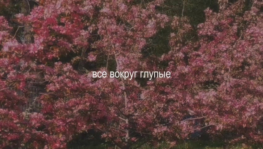@♡