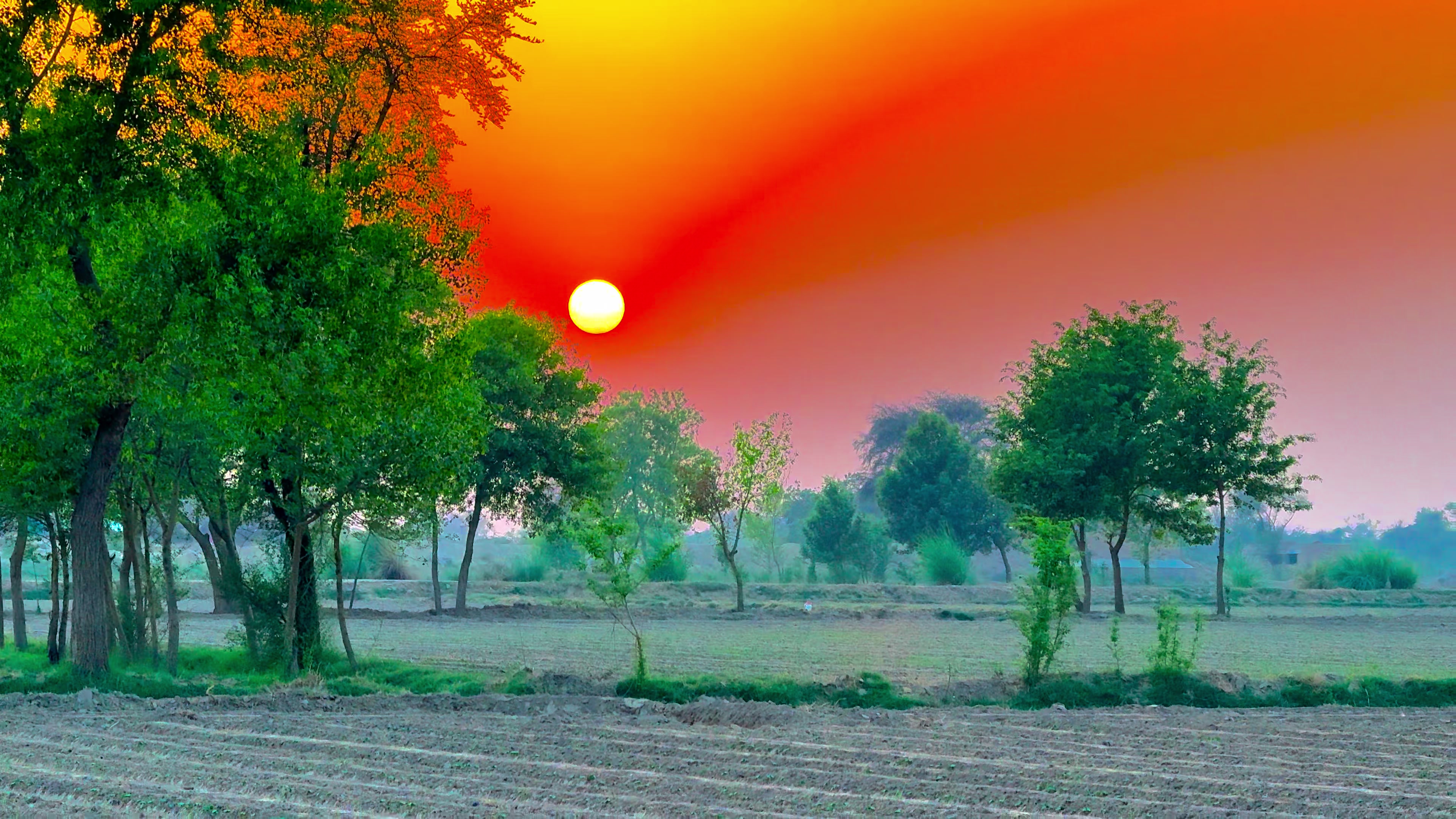 @🌾میں۔ میرا۔ پنڈ🎋