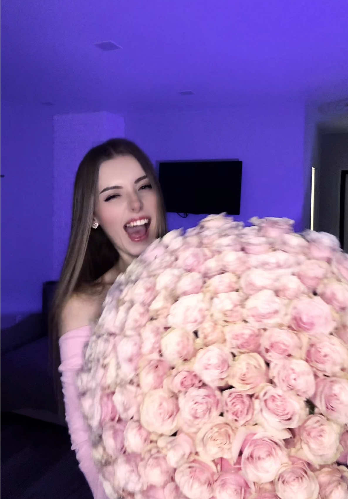 @Polimeya🐰