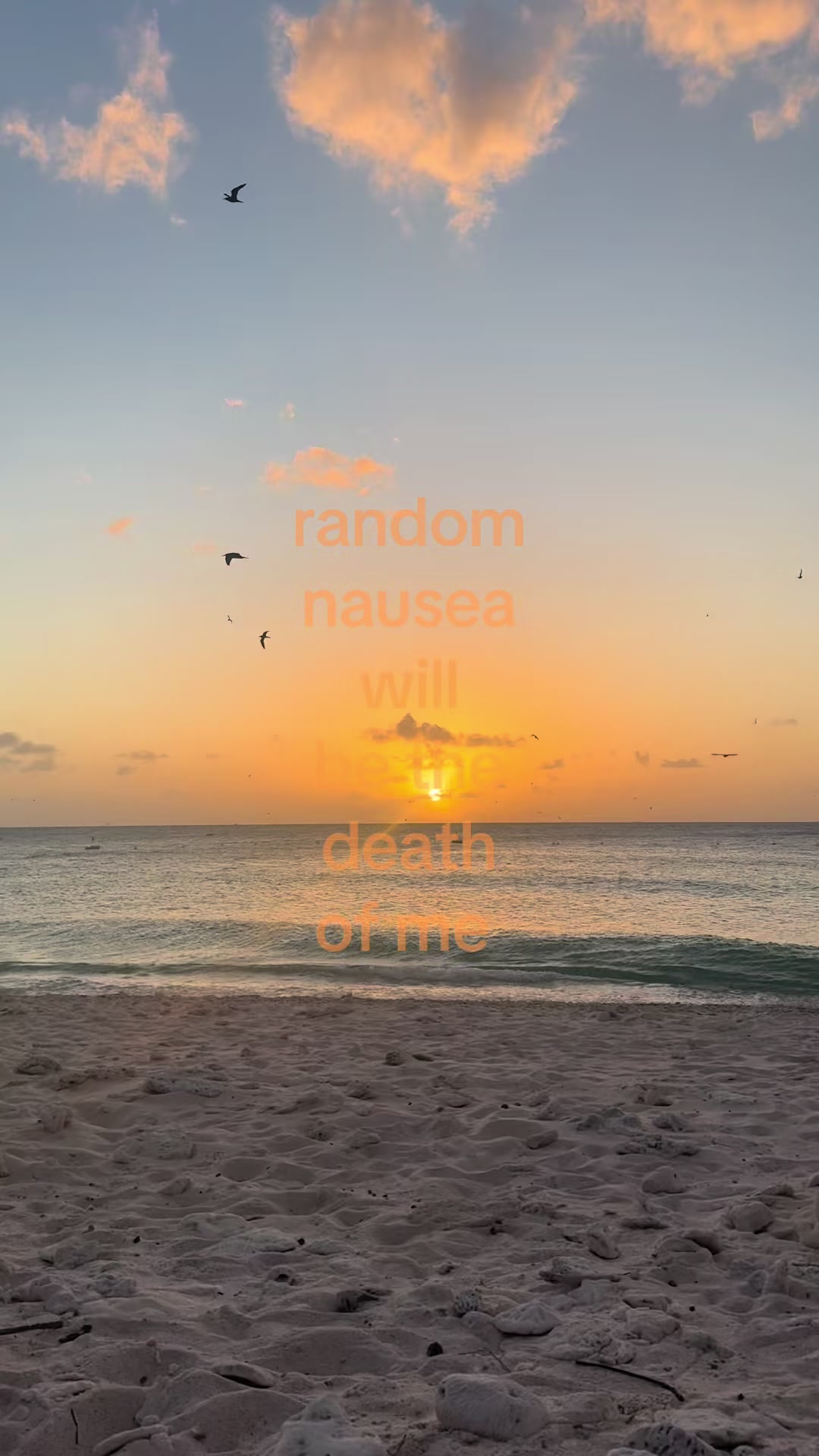 @katie 🌺🪸🐚