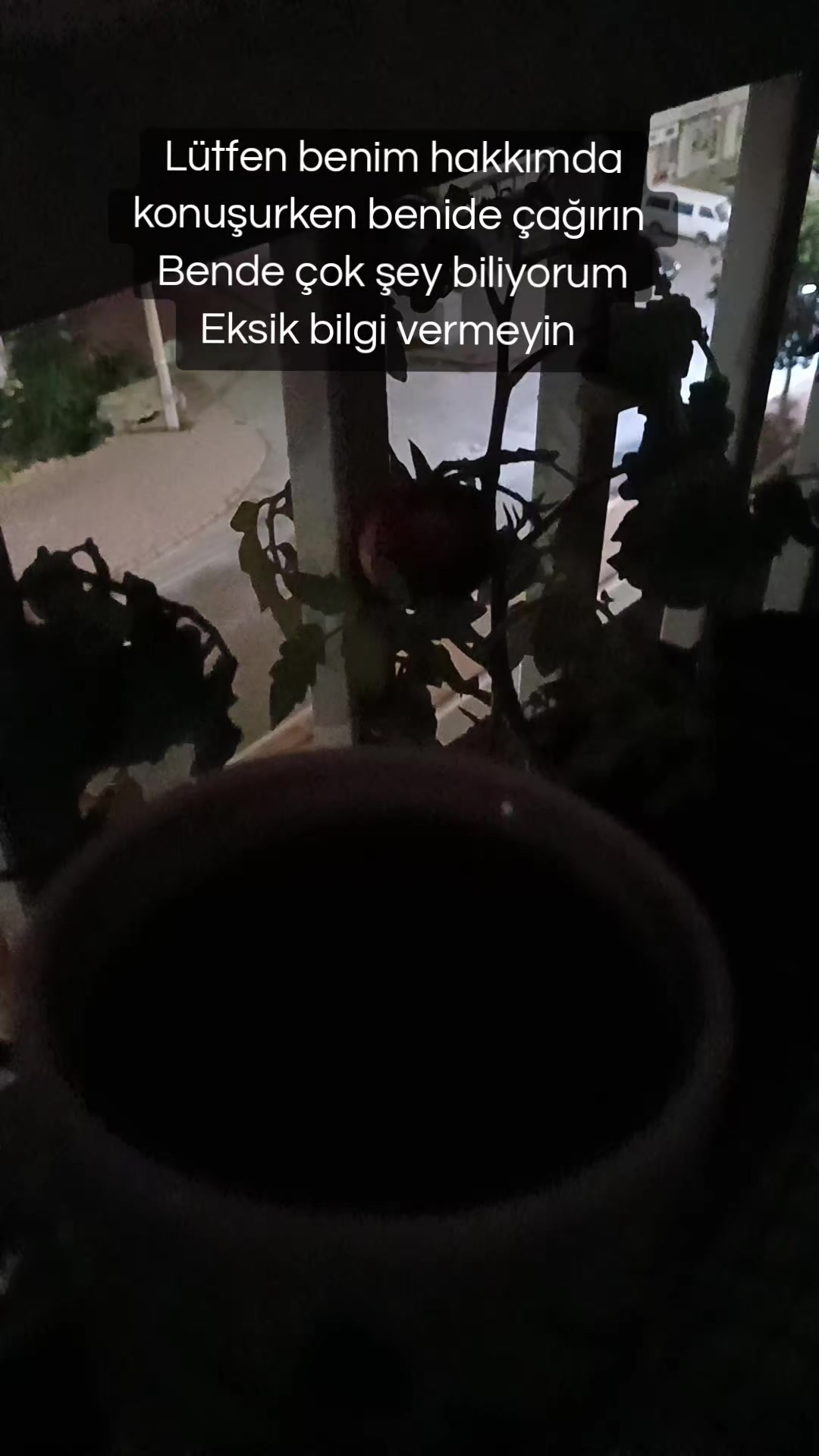 @thadimioglu38