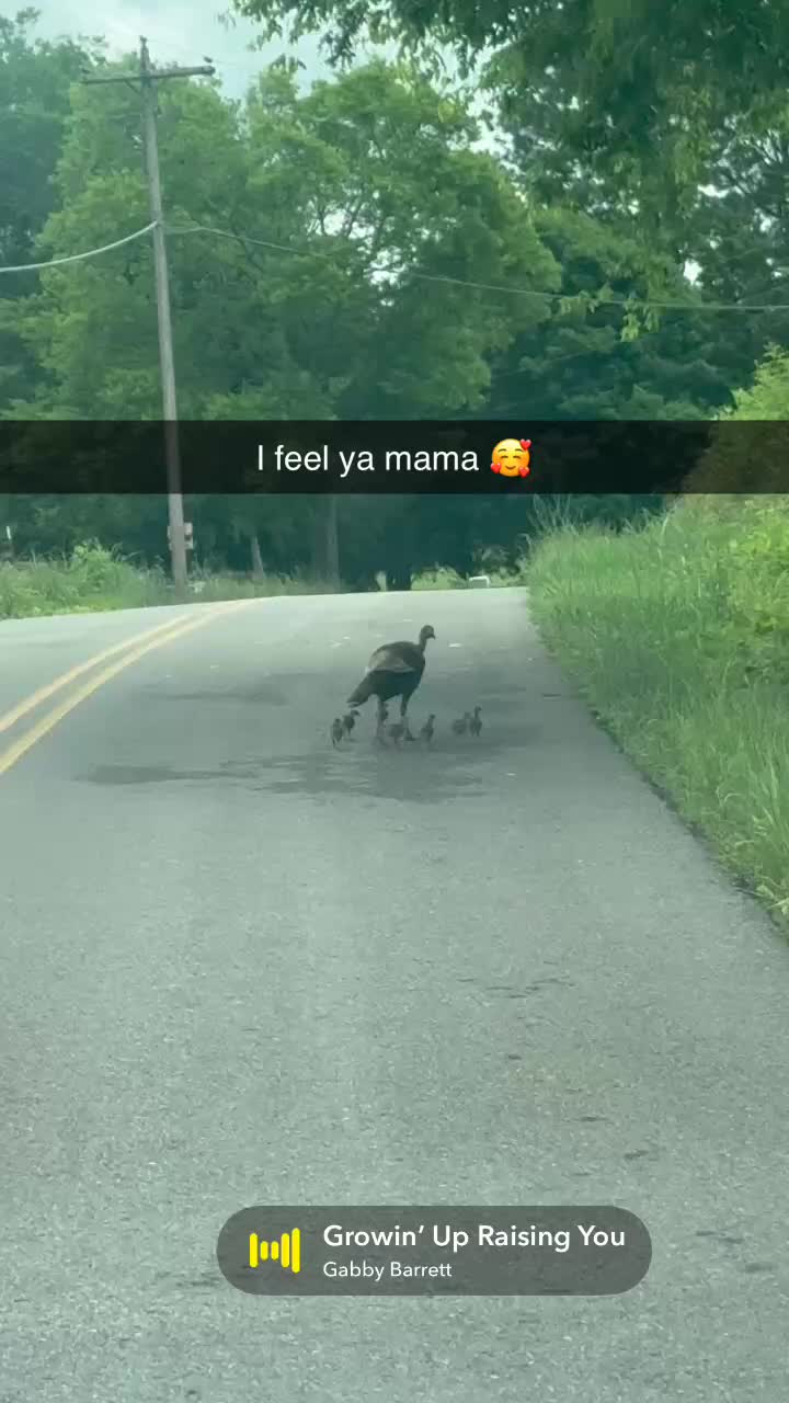 @blessmamaof3