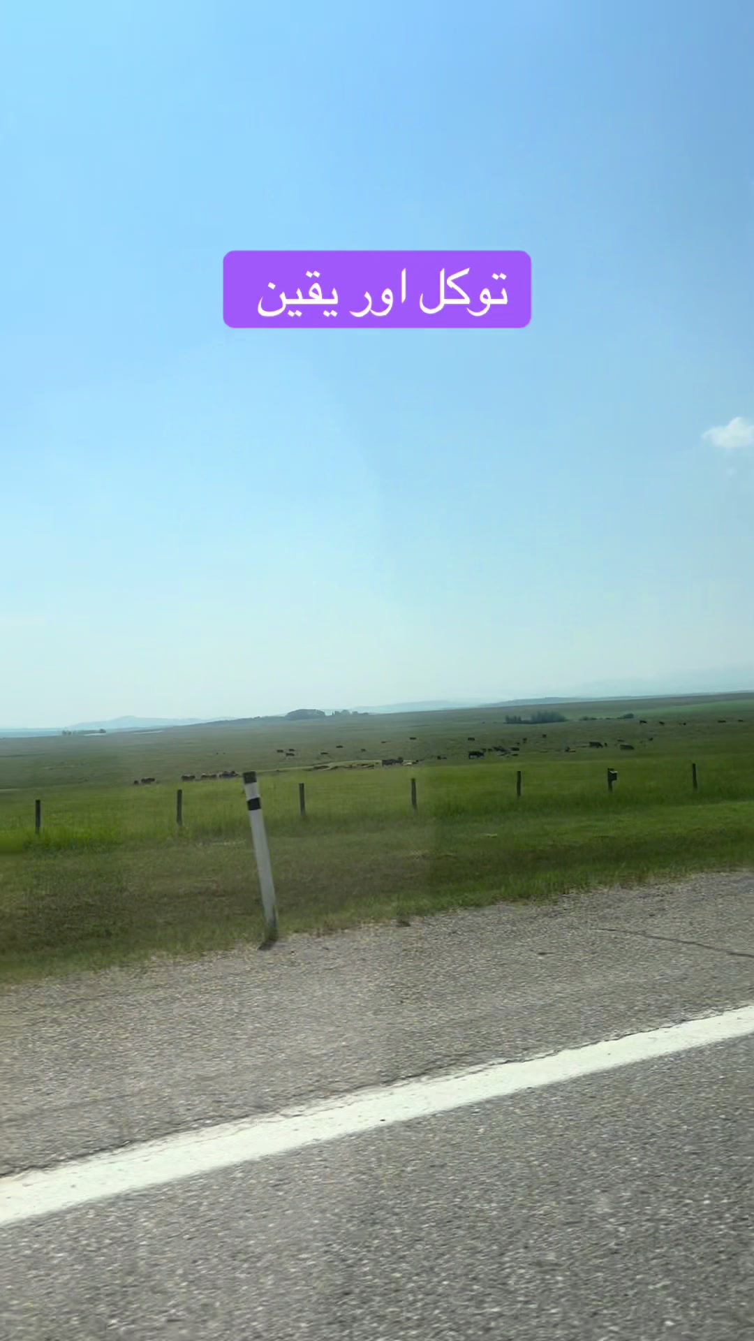@Tahira Y