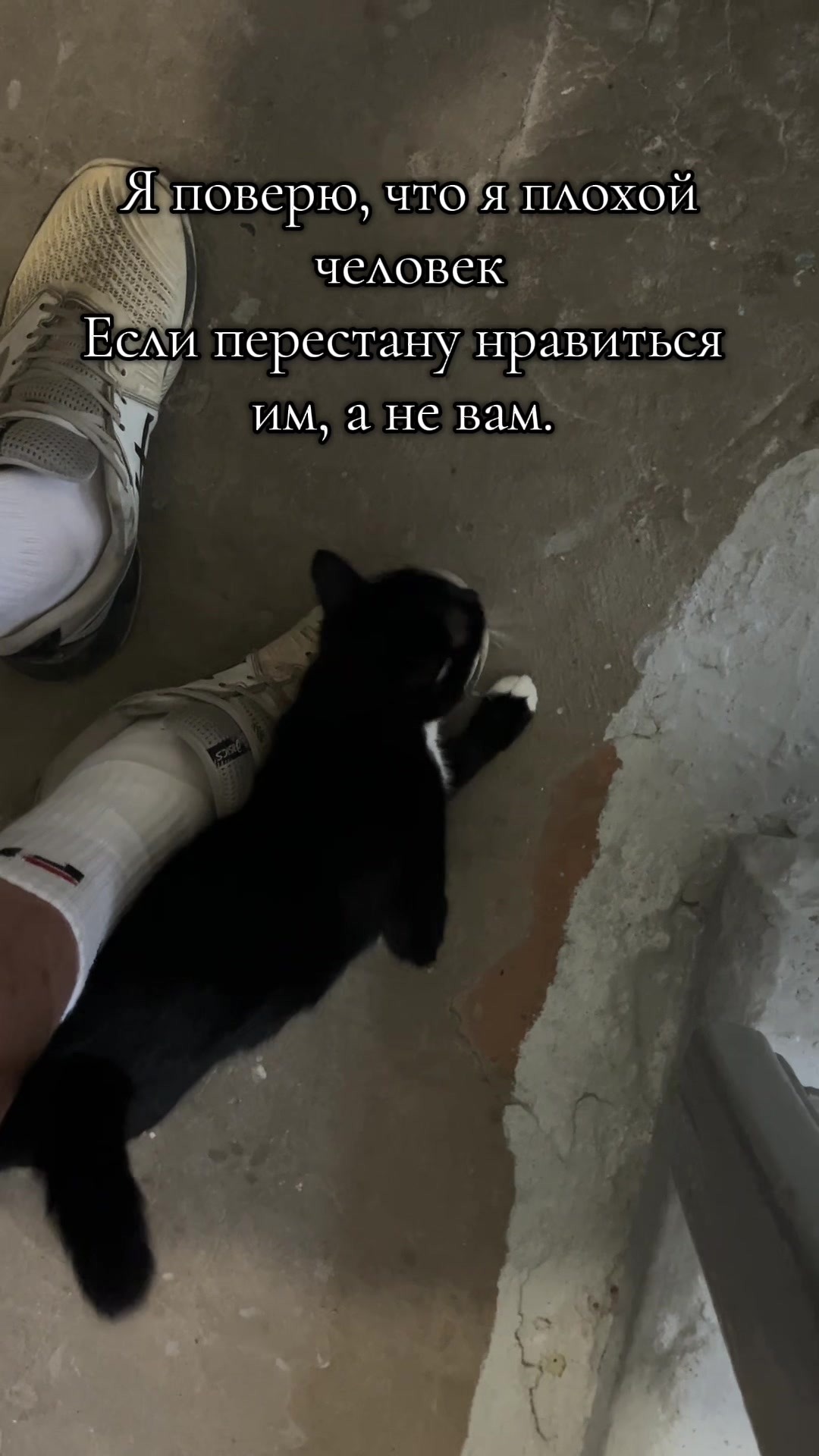 @ProstoKvasha