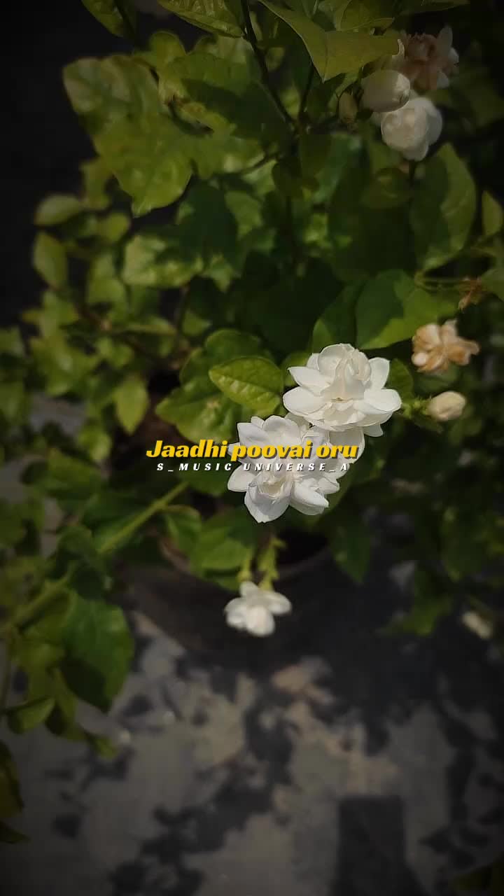 @♥๐๐๐๐๐พ ๐๐๐๐๐๐๐๐♥