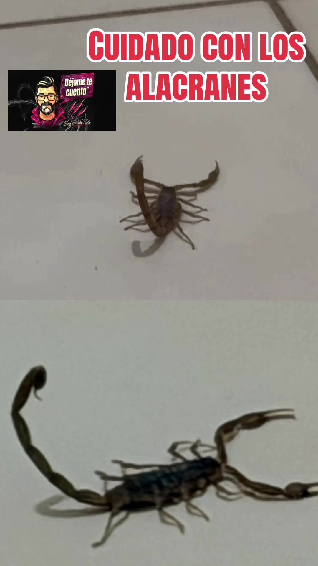 @Javi sotos