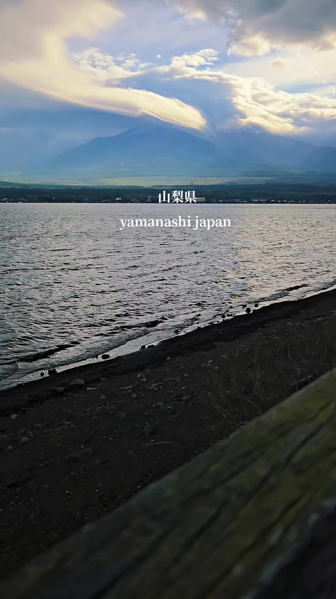 @y