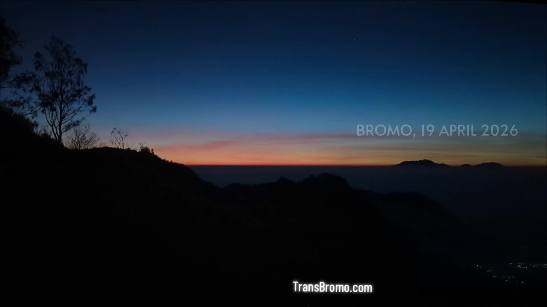 @transbromo