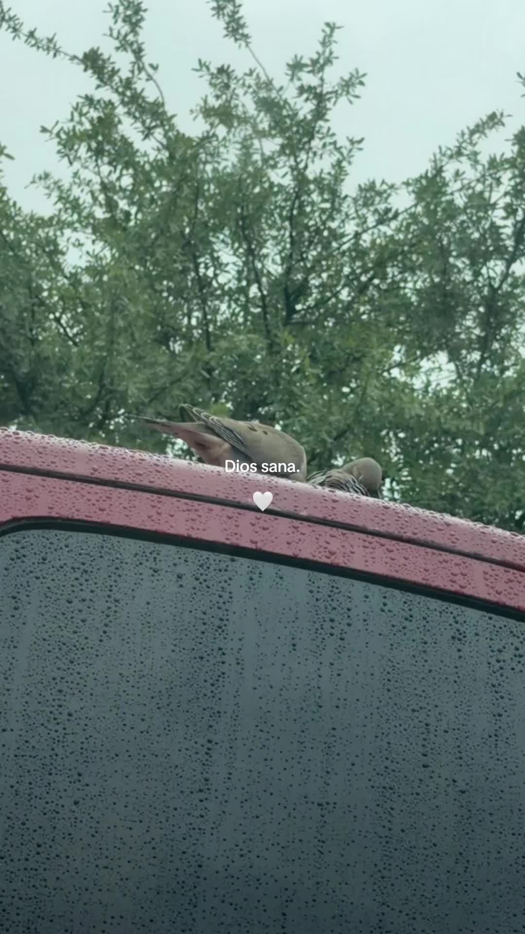@Sarai Estrada🤍