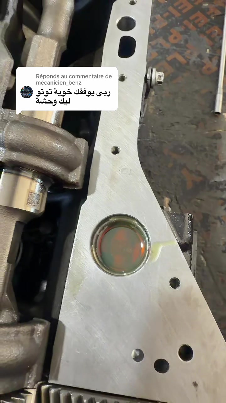 @toutou rangerover