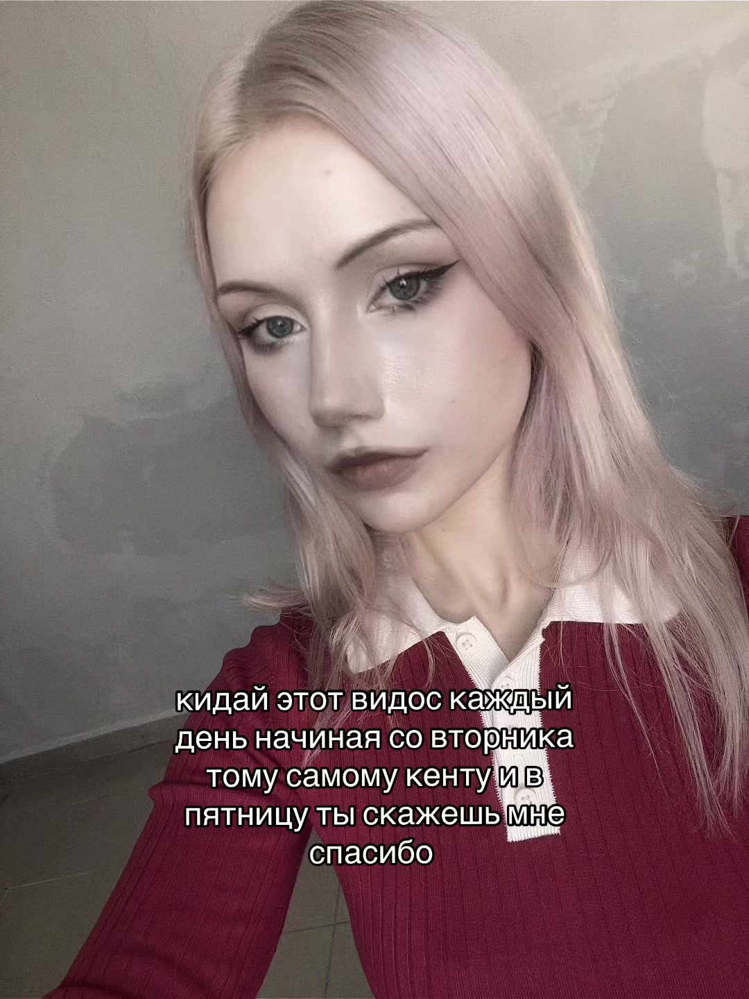 @hollycoven