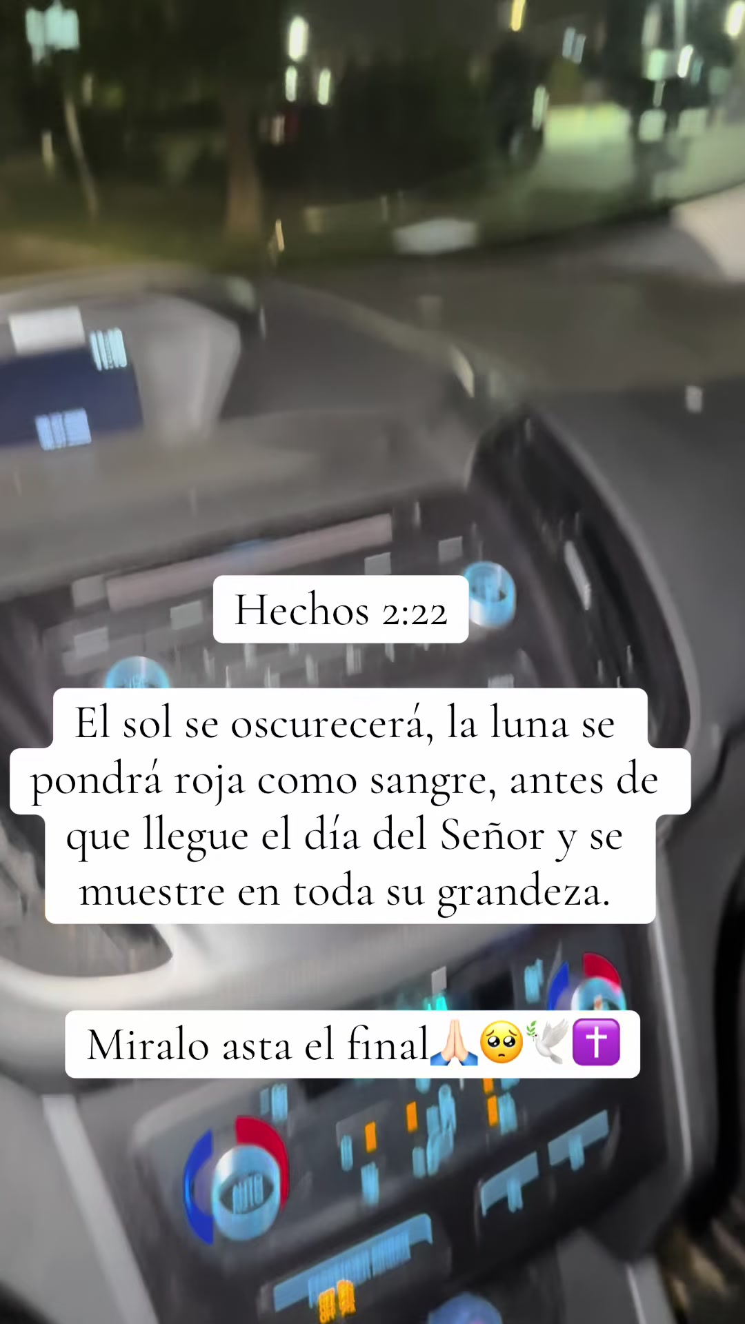 @Pavon ( 10 ) Funez🐧🐣