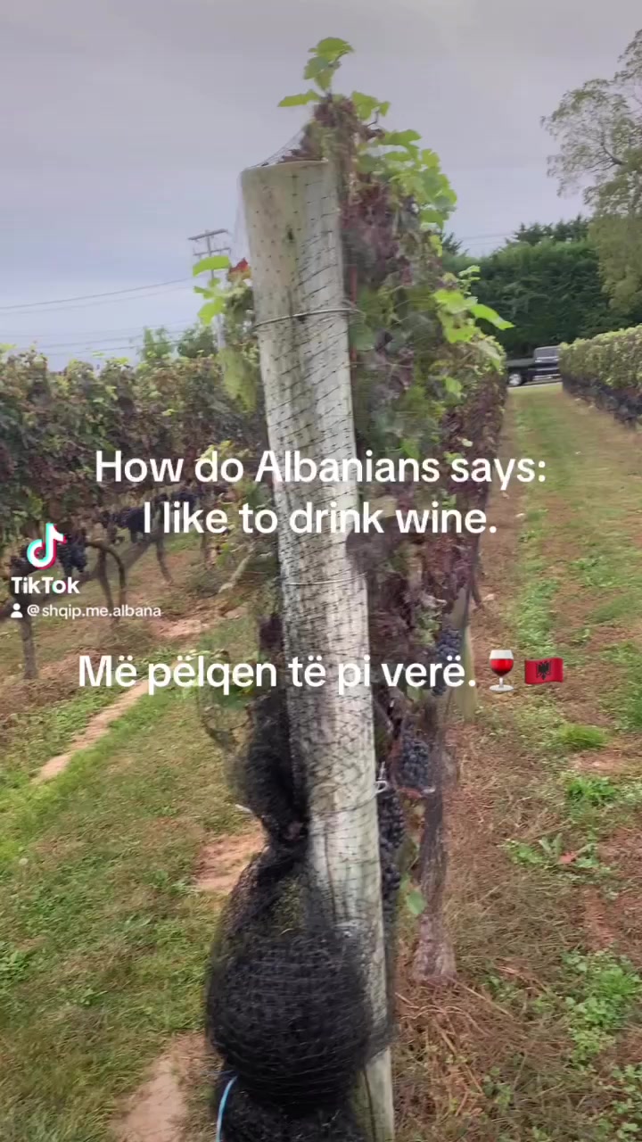 @Albana