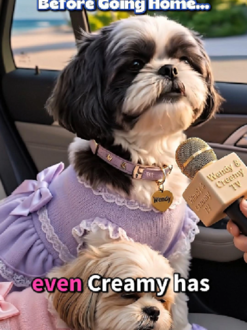 @Wendy and Creamy
