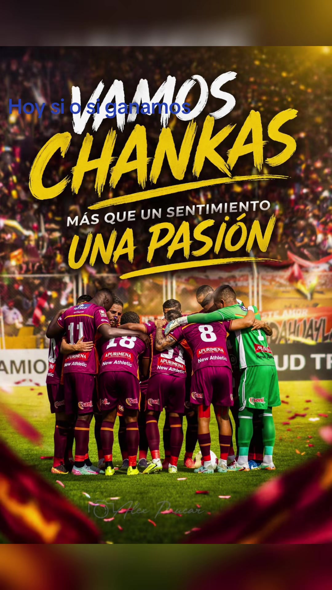 @ollucocharquiperejil