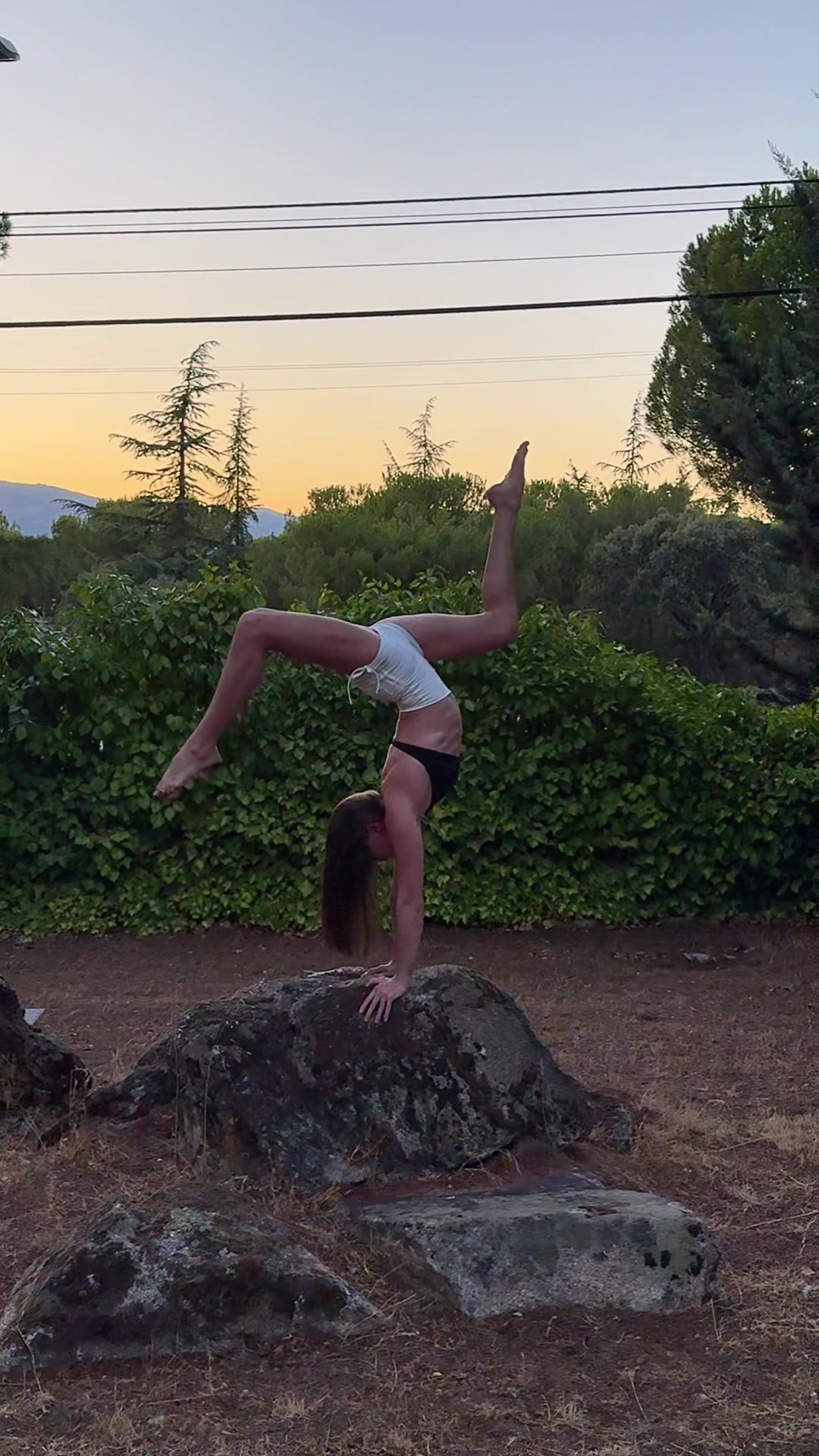 @lena.calisthenics