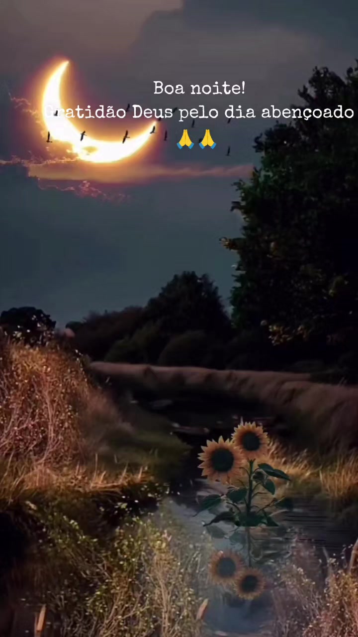 @🇧🇴🇧🇷🌸Nathalie Coral 🙏🌹