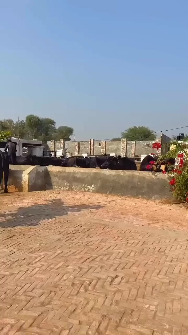 @GUJJAR DAIRY FARM
