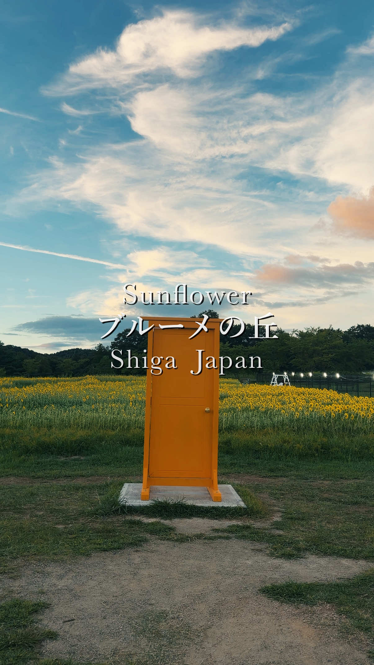 @tabi_momoka/観光•旅行