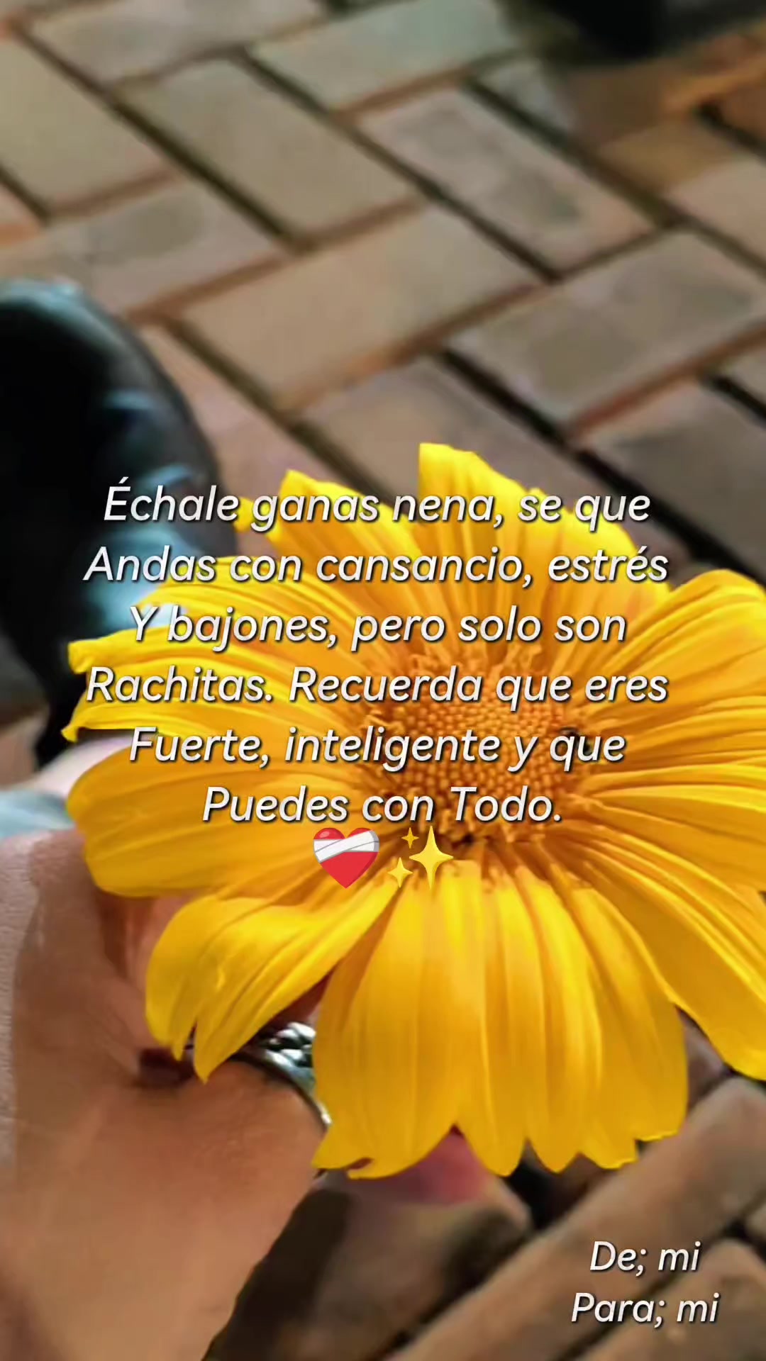 @Graciela Lenz