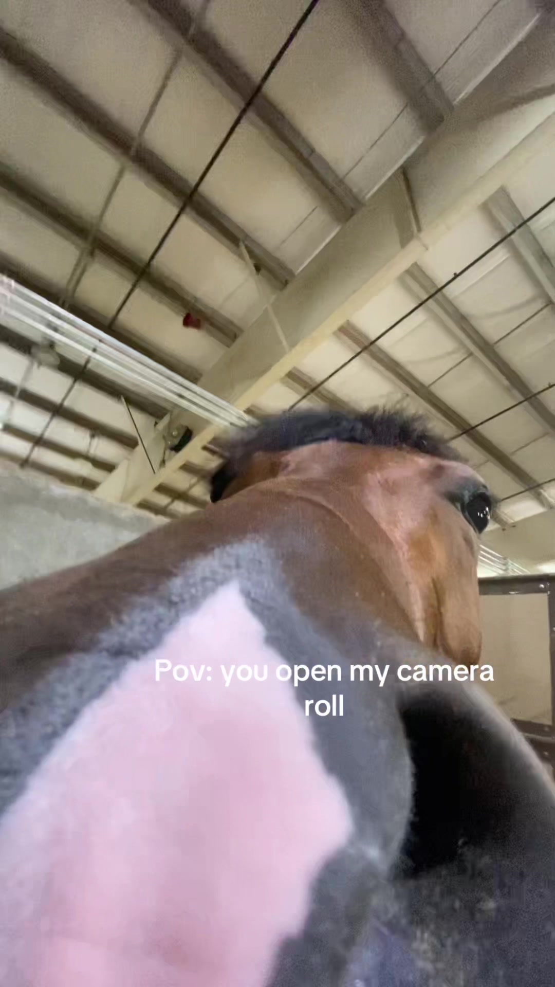 @bryndlekaye_horses