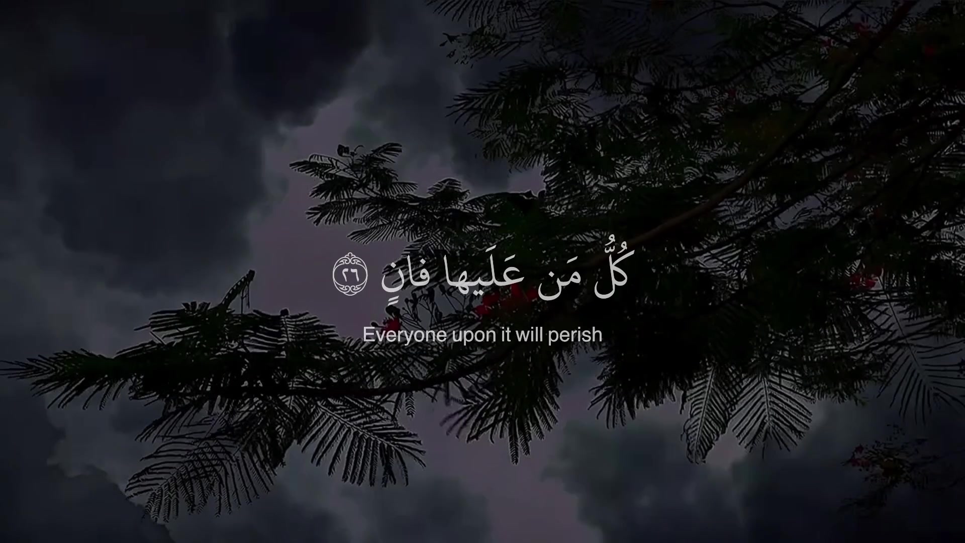 @قرآن || Quran