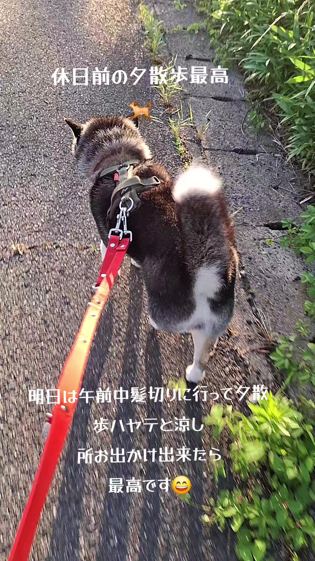 @111シンゴ
