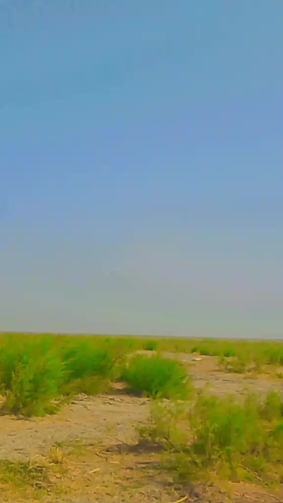 @🥷ملک شہزاد جبوجھ 🥷