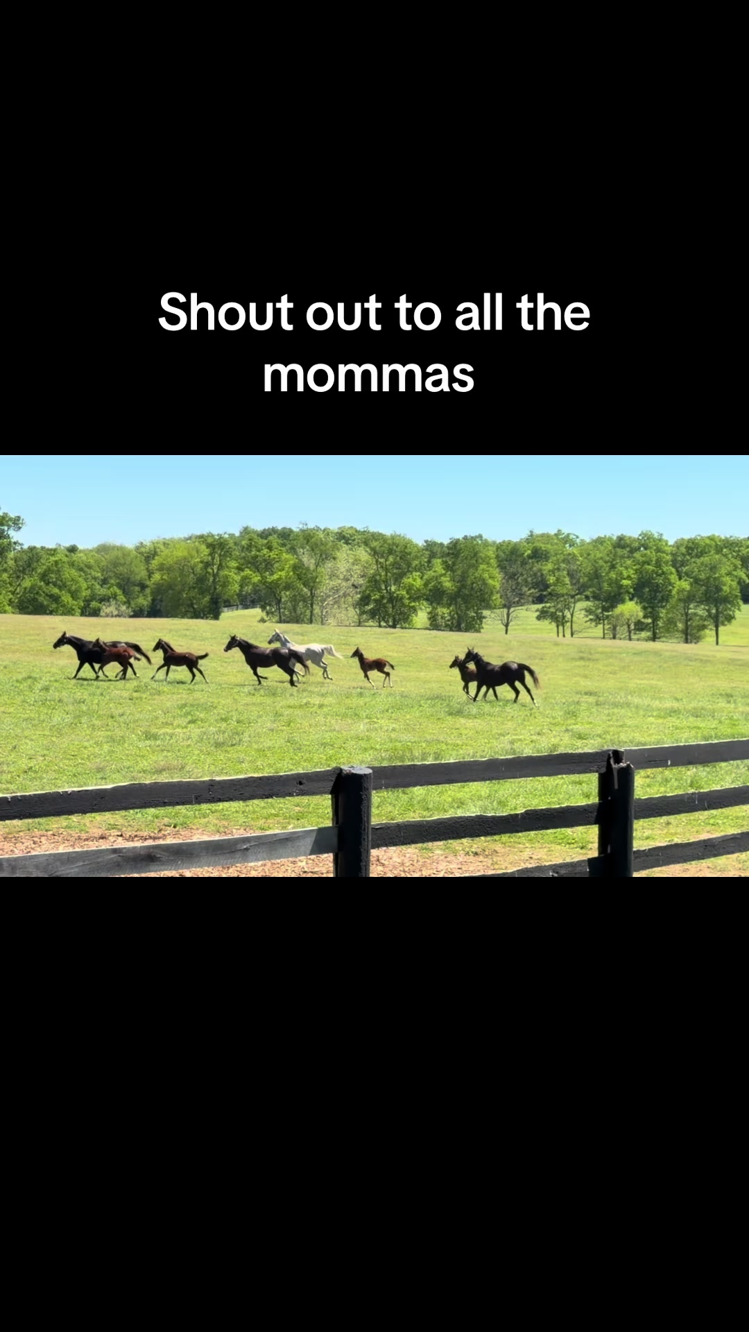 @MesingwFarm