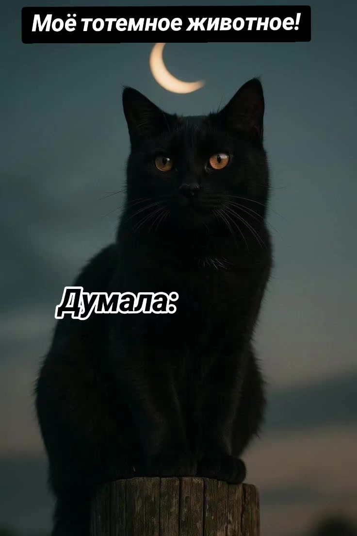 @Nuse4ka92