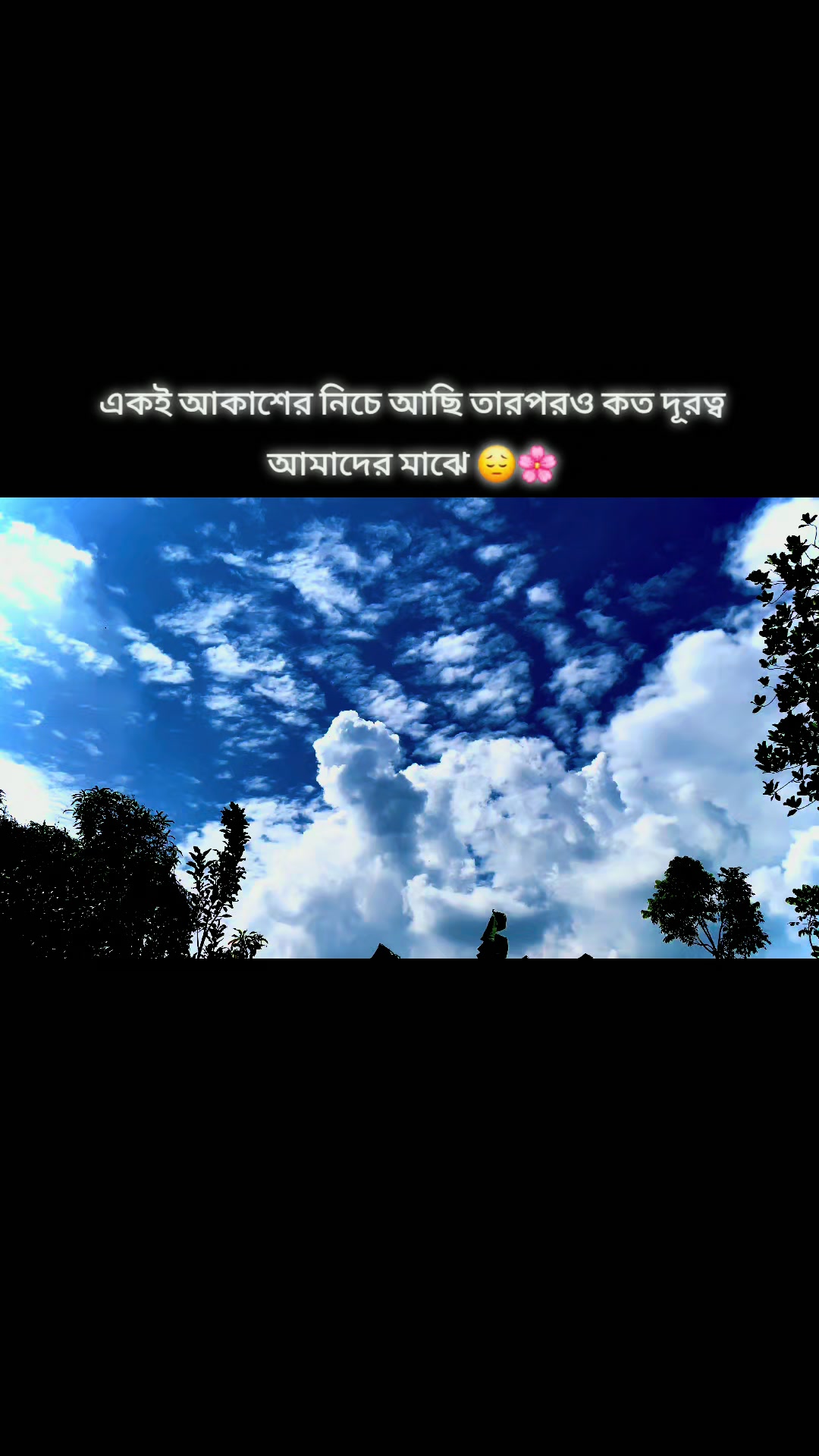 @আই মিস ইউ পাখি 🕊️❤️&zwj;🩹