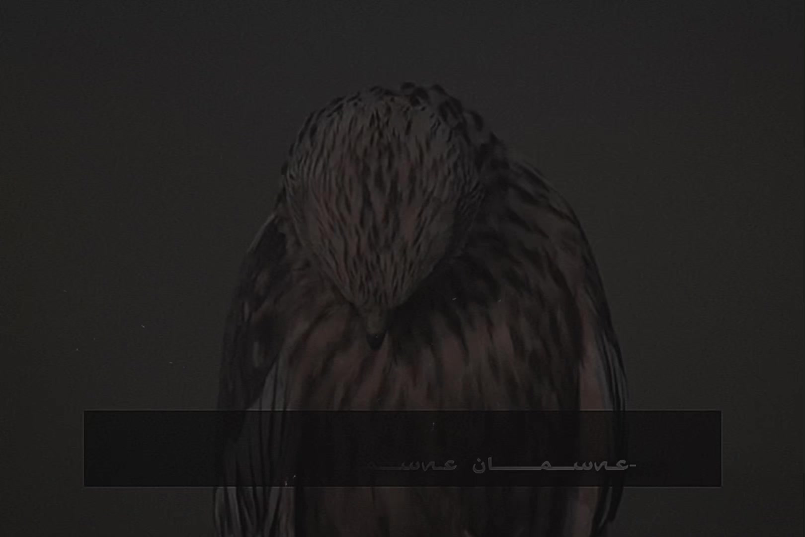 @᷂فــەرو𝘑𝘈𝘕𝘎𝘈𝘞𝘈𝘙