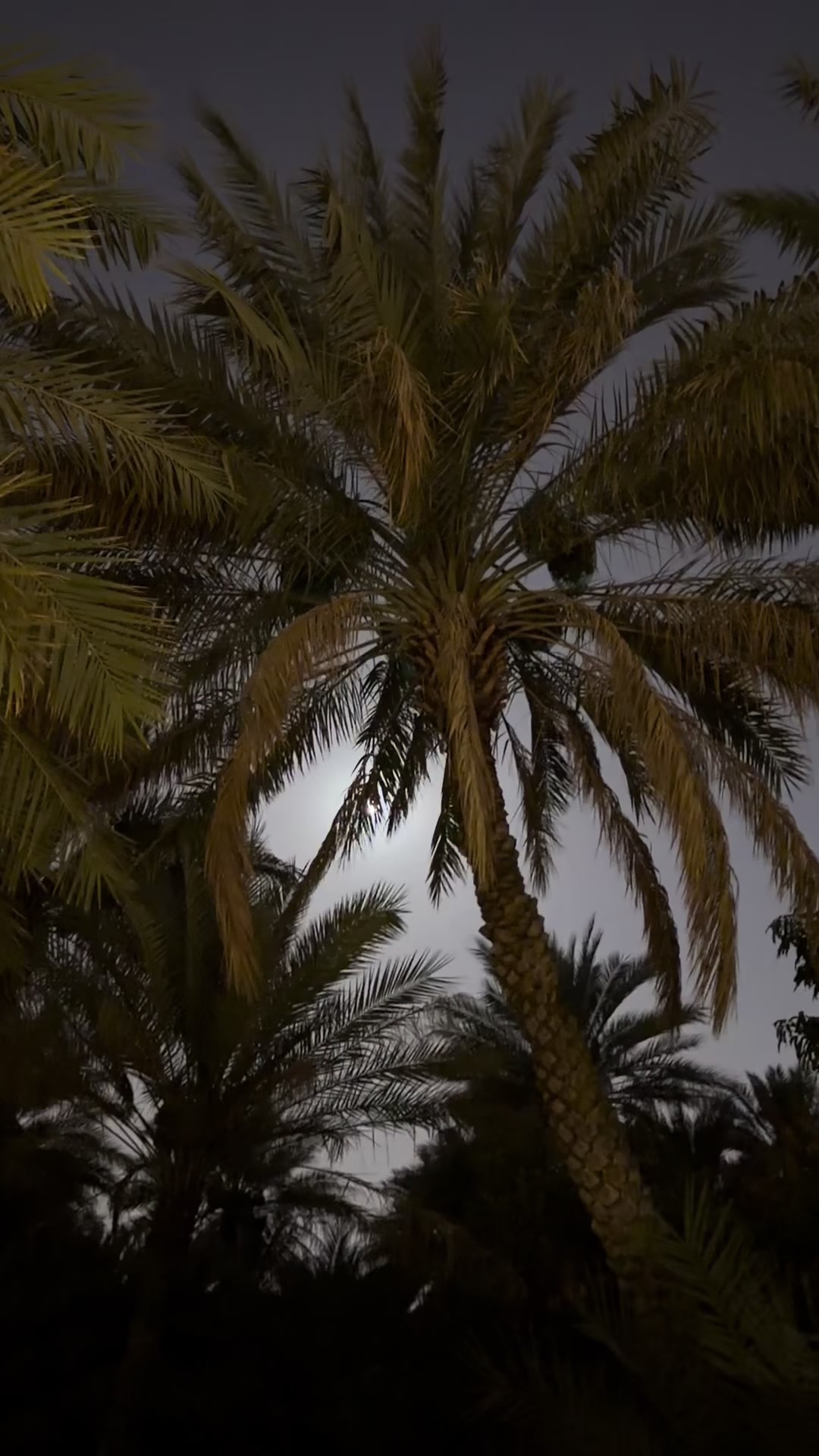 @22m__i