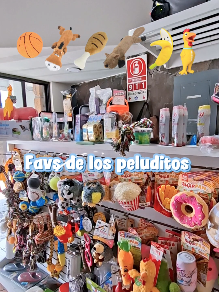 @Perrunos Veterinaria