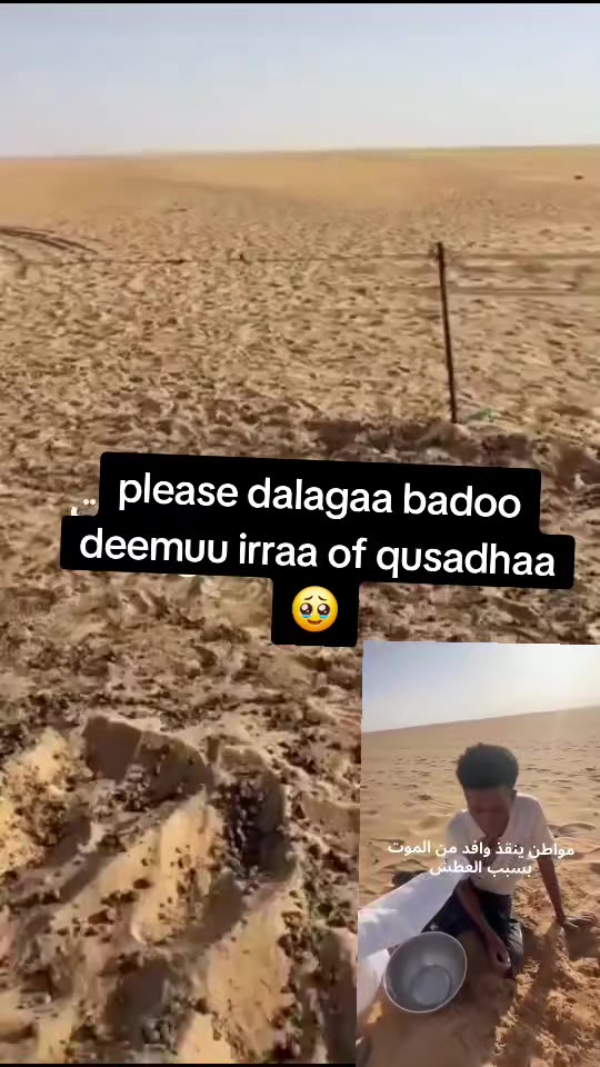 @Nasr🤍💫