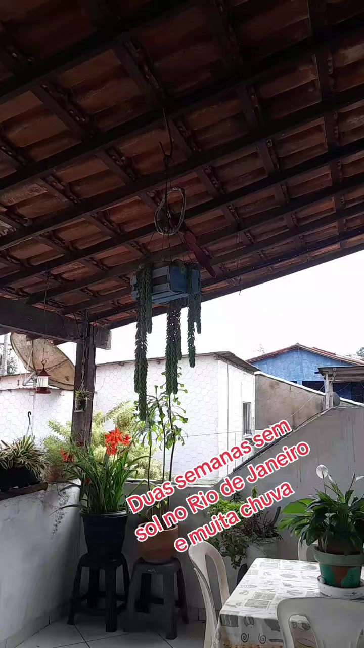 @lucianaribeiro44730