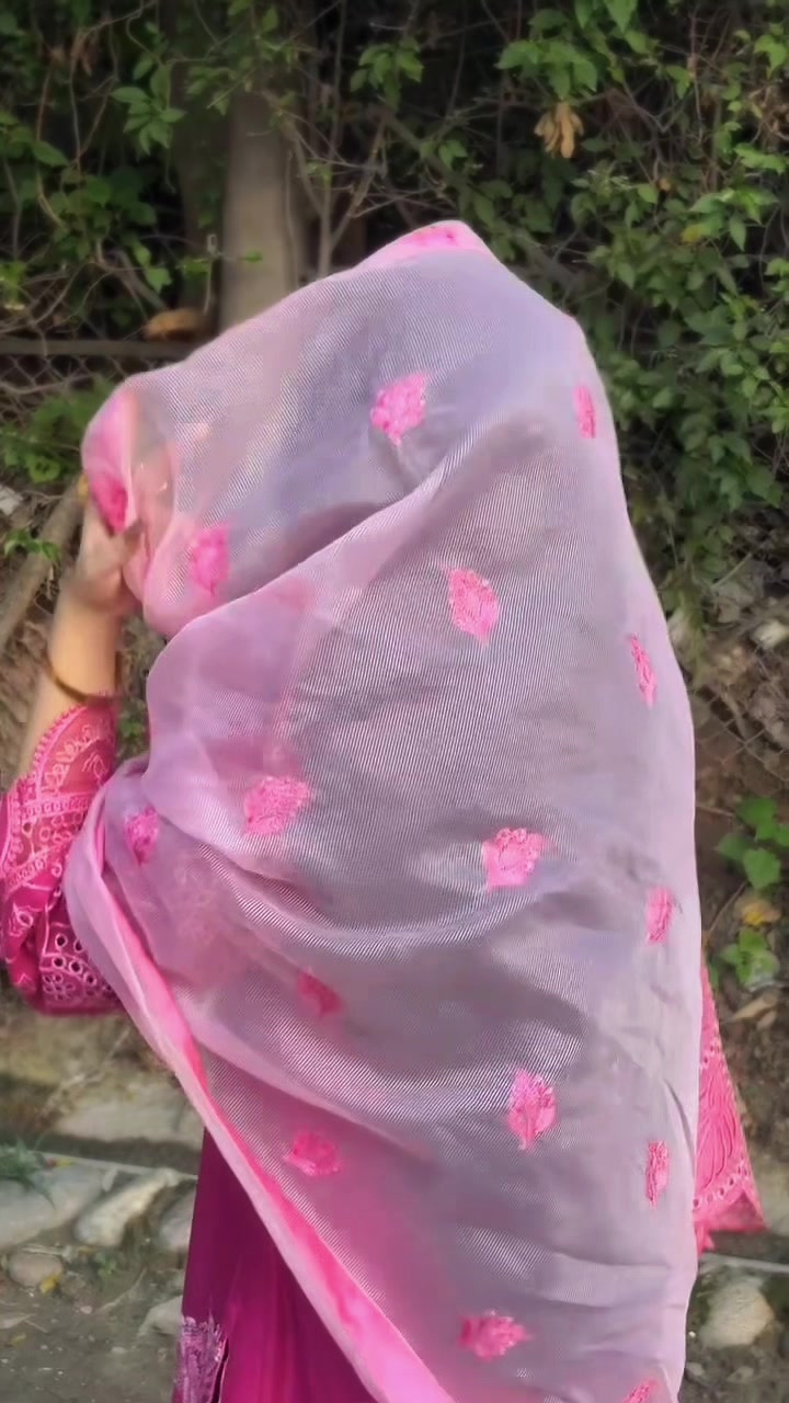 @AimanKhan🕊