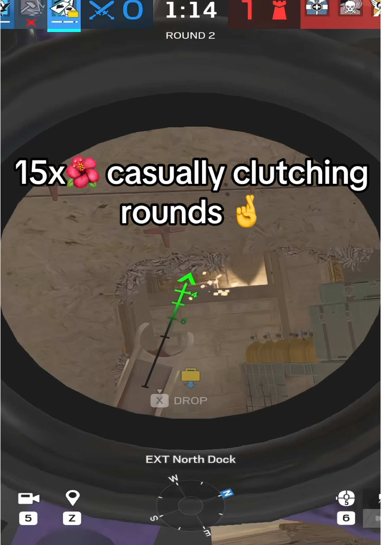 @Zirpnt