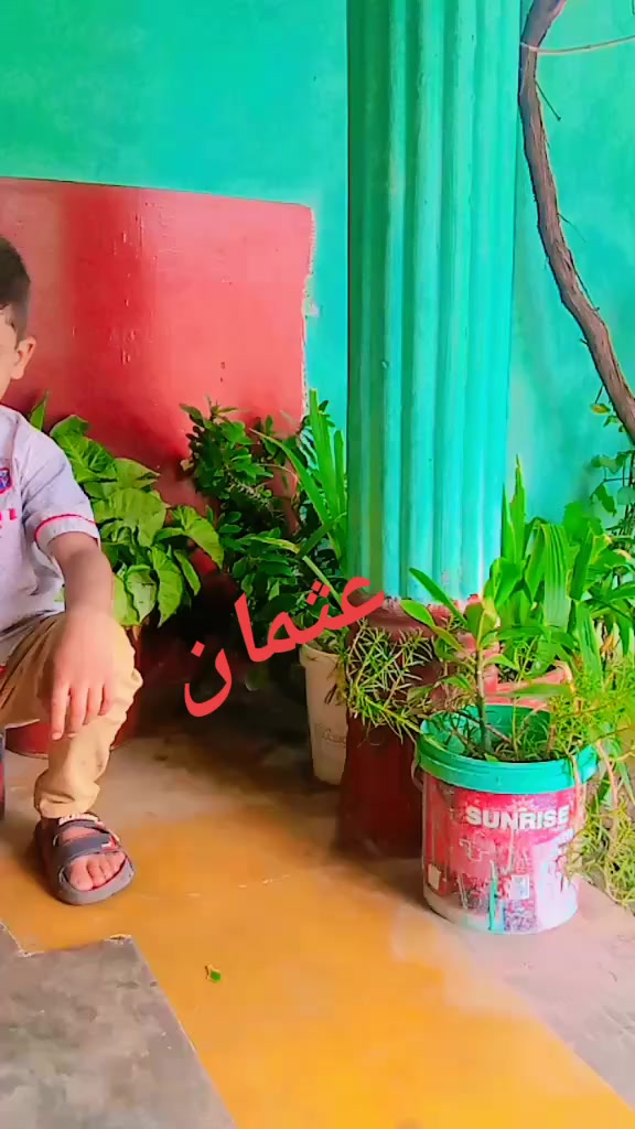 @یاسر تنولی بگال0001