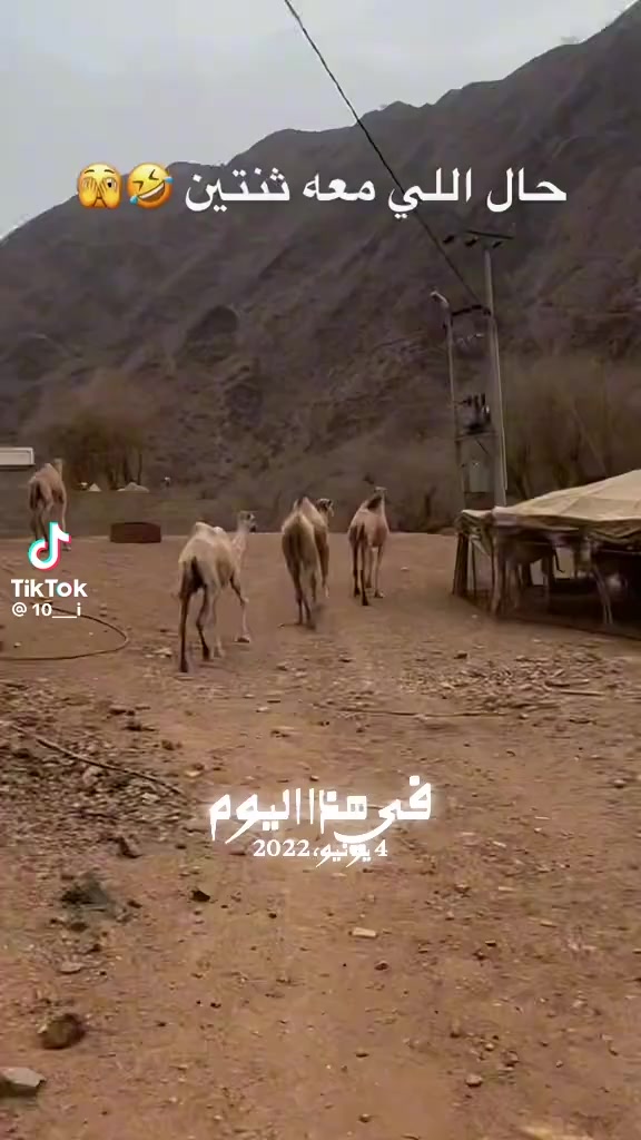 @ألأدميــــرال 𝐌𝐑-𝐗