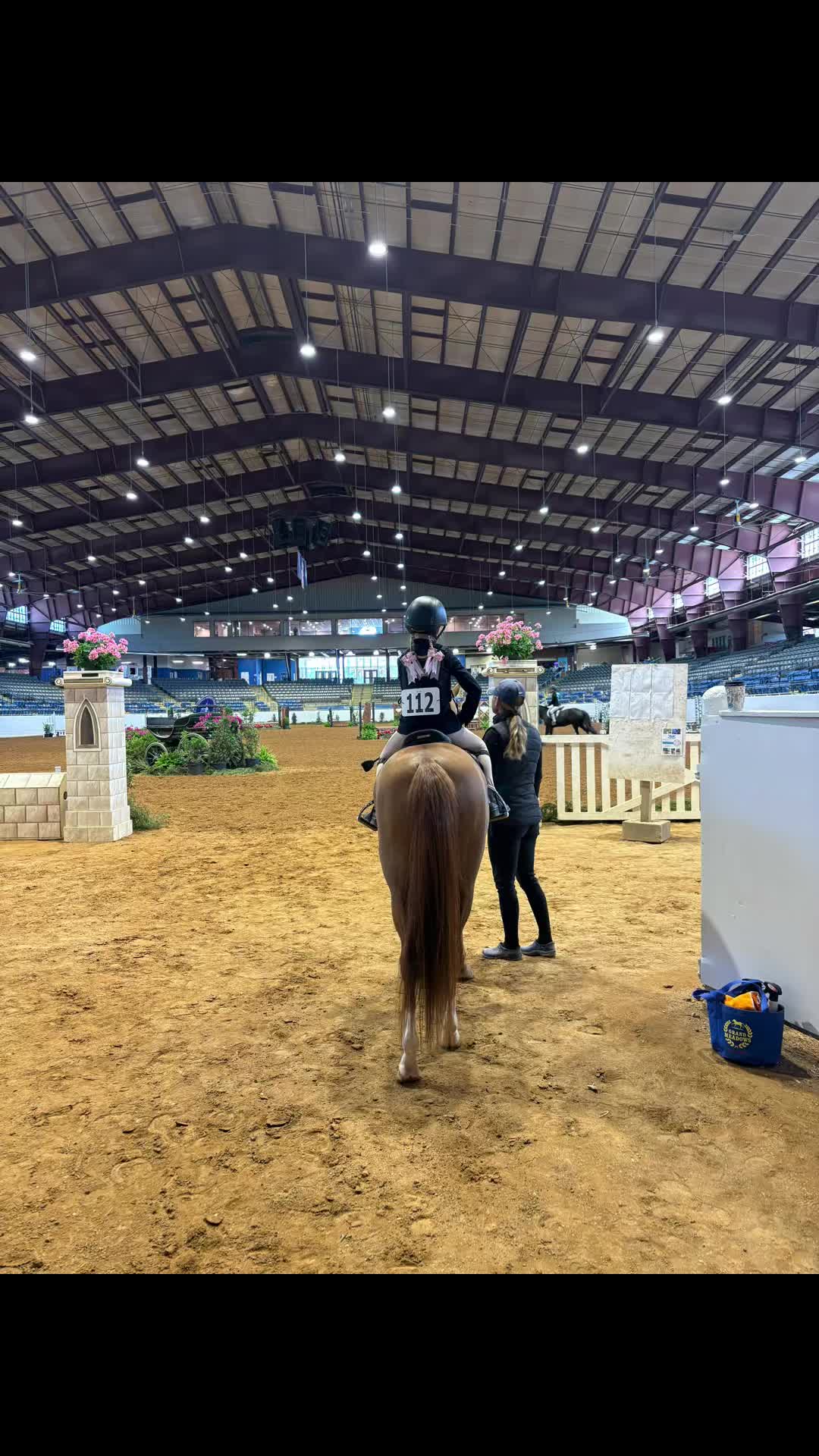 @ckponies