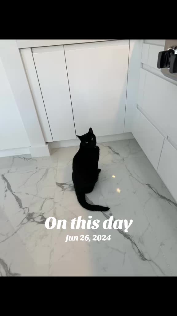 @Oscar Jeremy the cat!