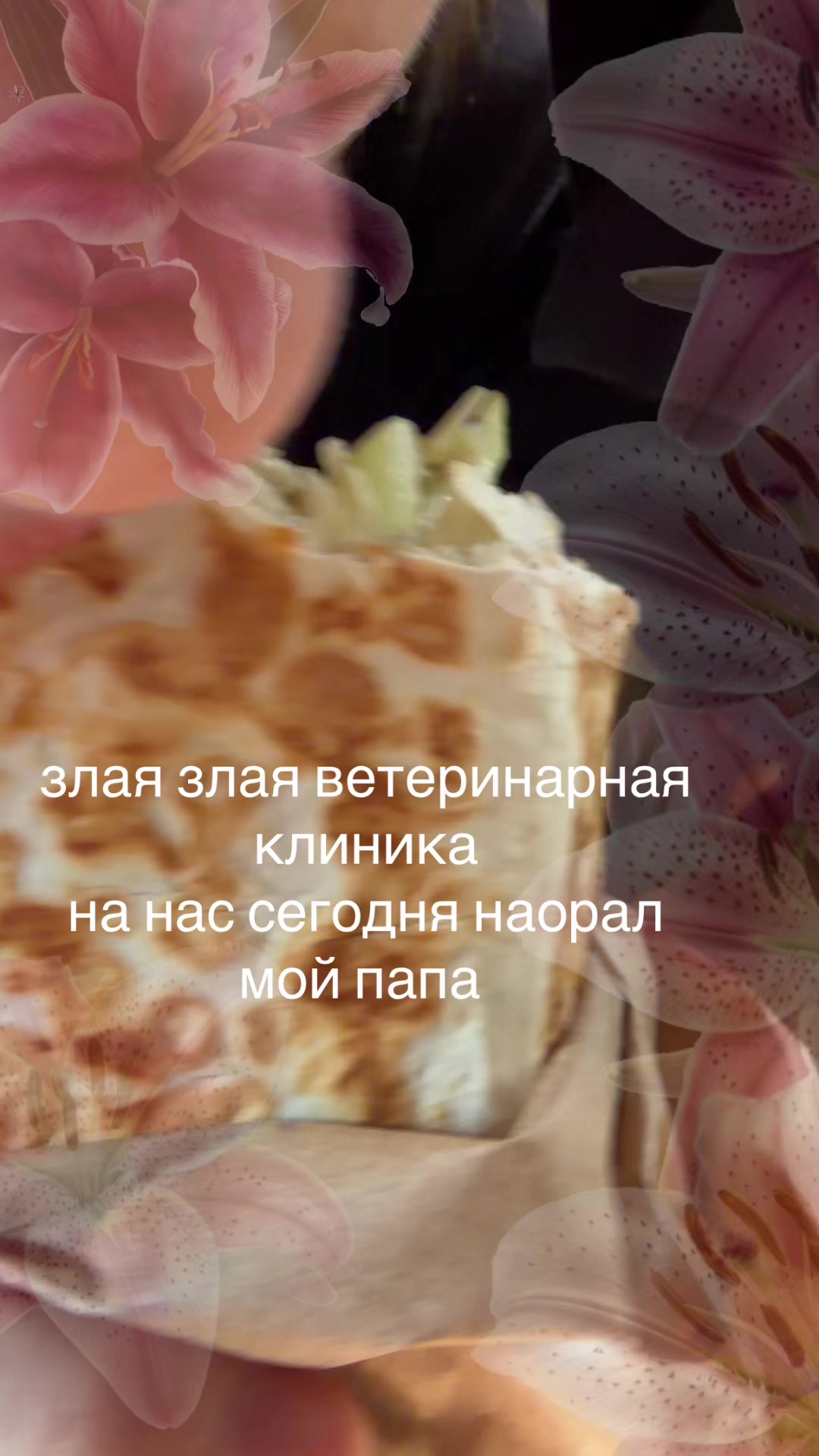 @kyoffu