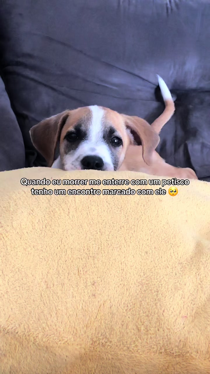 @Maduzinha