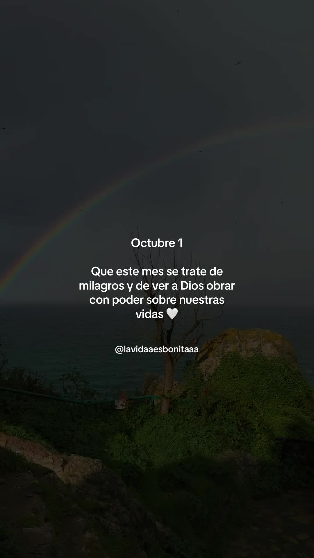 @vidabonita❤️🩹