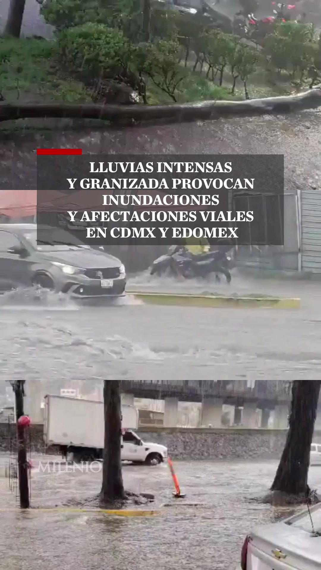 @MILENIO