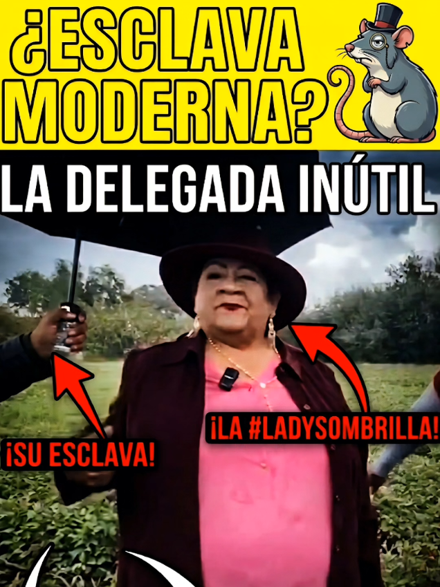 @paloddin world