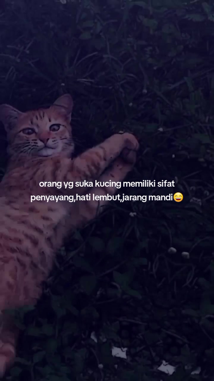 @๐α๐พโ๐พ