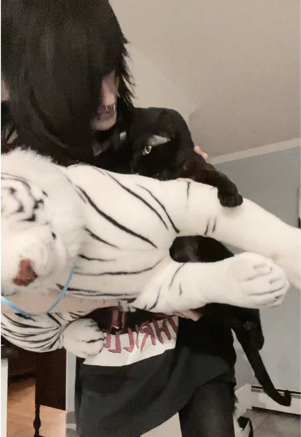@Xander ૮ ˙Ⱉ˙ ა